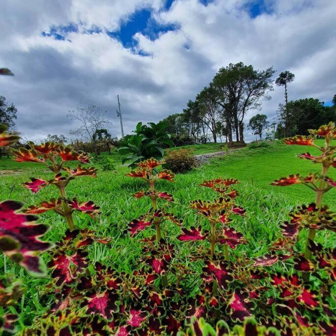 Сasa de vacaciones Rancho 4 Coracoes Urubici